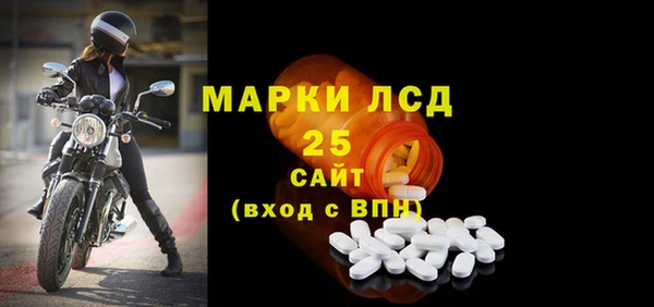 ECSTASY Богданович