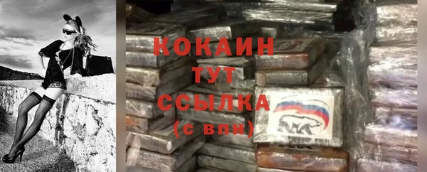 дживик Беломорск