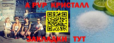 шишки Пугачёв