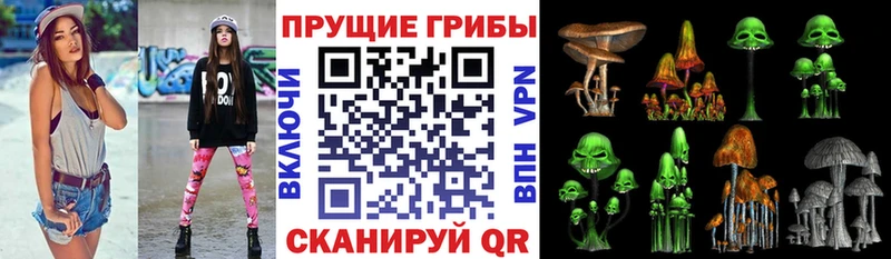 Псилоцибиновые грибы Cubensis  Сланцы 