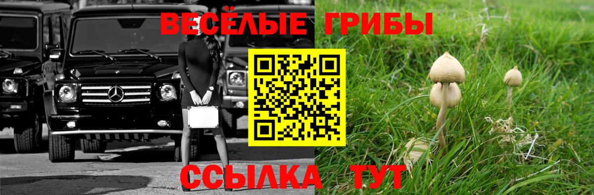 Псилоцибиновые грибы мухоморы  Вход с VPN  Сланцы  где купить наркотик  Псилоцибиновые грибы Magic Shrooms 