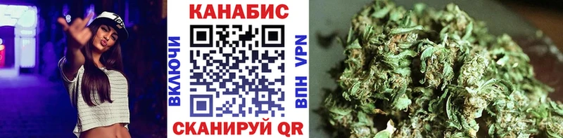 Канабис семена  Сланцы 